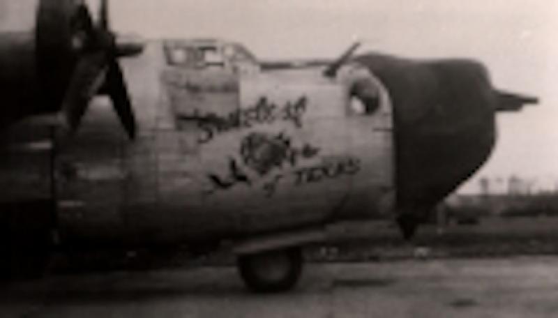 Sweetest Rose of Texas